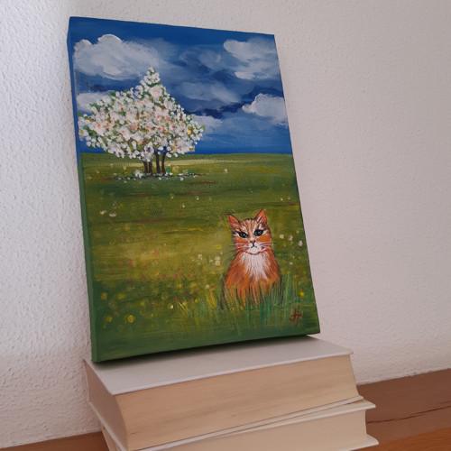 Kočička na voňavé louce — foto 4