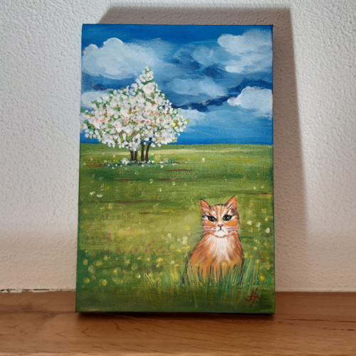 Kočička na voňavé louce — foto 2