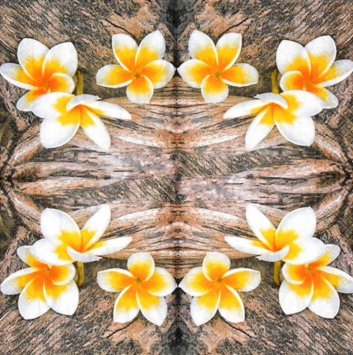 Ubrousek - plumeria — foto 2