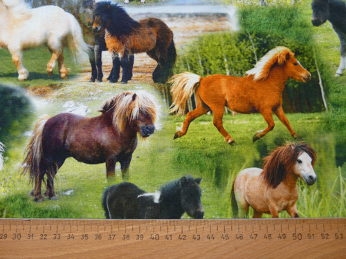 Úplet - poníci — foto 2