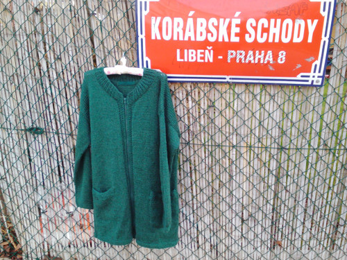 Kočka indiánská na Korábských schodech.... — foto 2