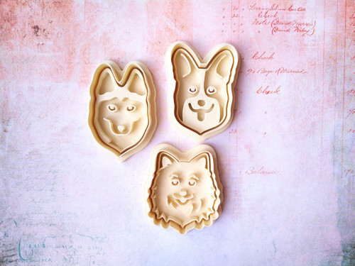 Pomeranian - set — foto 3