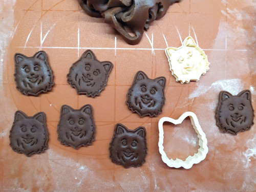 Pomeranian - set — foto 4