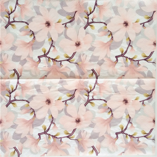 Magnolie 2 — foto 2