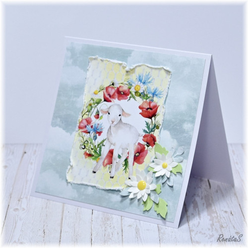 Přání - jehňátko — foto 2