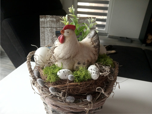 Slepička v hnízdě II — foto 3
