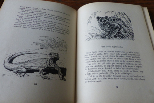 V džungli, Zane Grey, 1931 — foto 5
