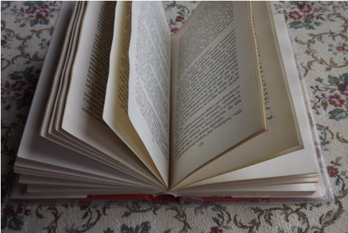 Mikuláš Nickleby I. a II. - Charles Dickens — foto 5