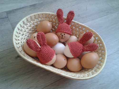 Zaječí ouška - růžovobronzová — foto 2
