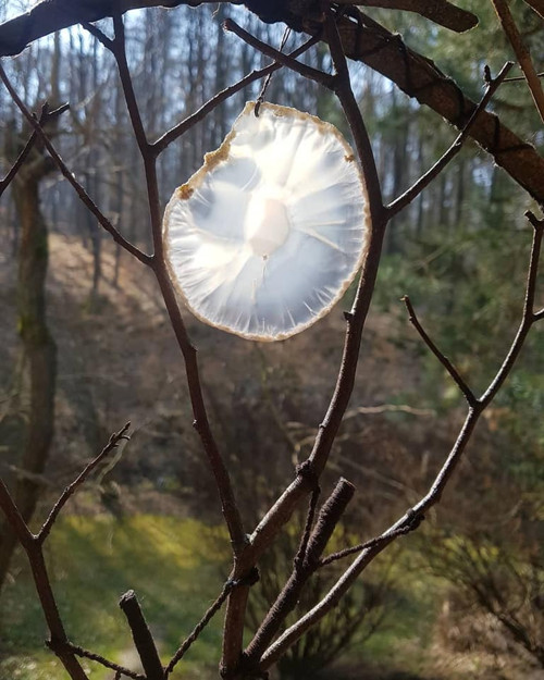 Lapač snů se stromem života — foto 2