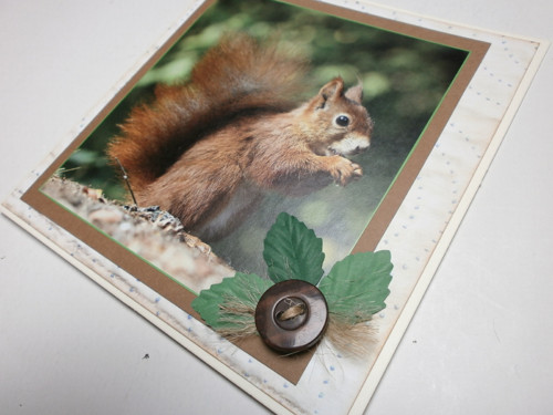 Přání s veverkou — foto 3