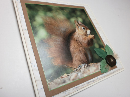 Přání s veverkou — foto 5