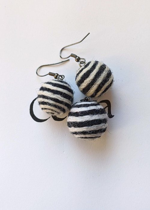 Zebra kulička — foto 2