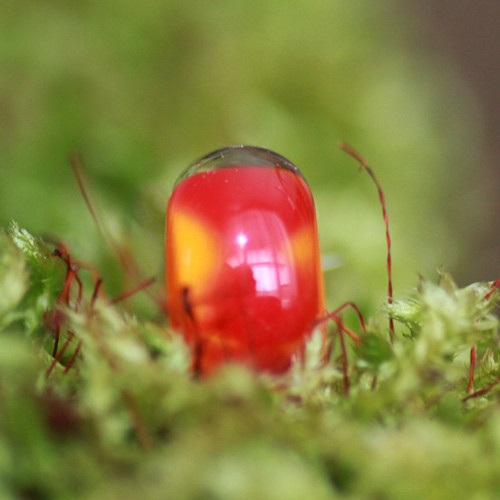 Vinutka - průvlek 4 mm — foto 2