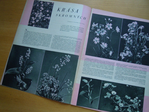 EVA číslo 14 / XIII 1941 — foto 2