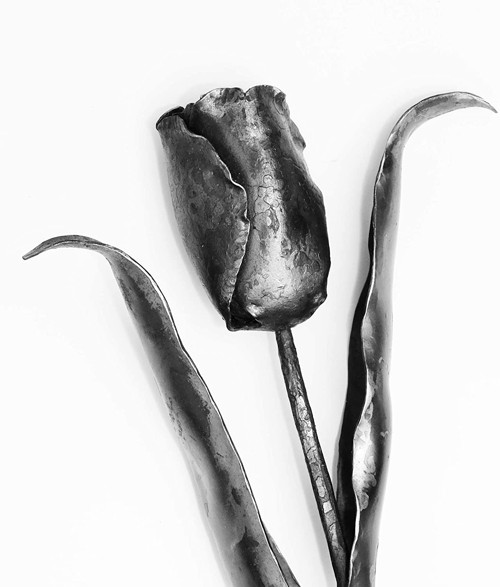 Kovaný Tulipán — foto 4