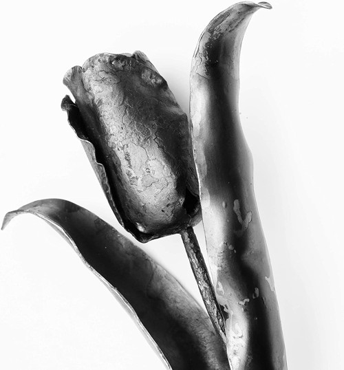 Kovaný Tulipán — foto 2