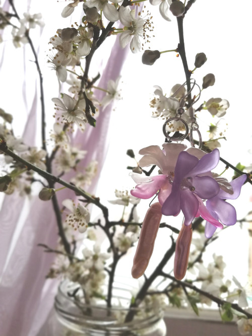 Sakurové — foto 4