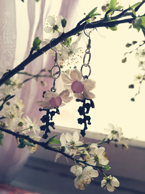 Sakurové — foto 6