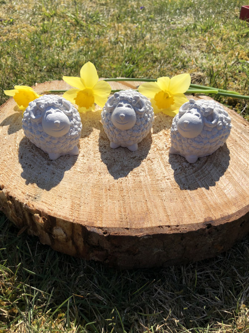 3D Beránek — foto 2