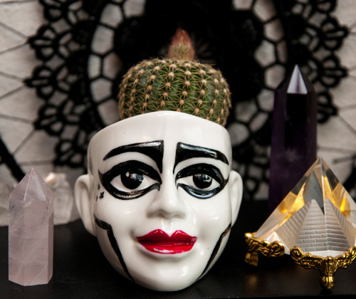 Květníček - Siouxsie and the Banshees — foto 2
