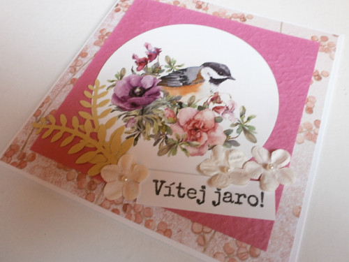 Jarní přáníčko — foto 2