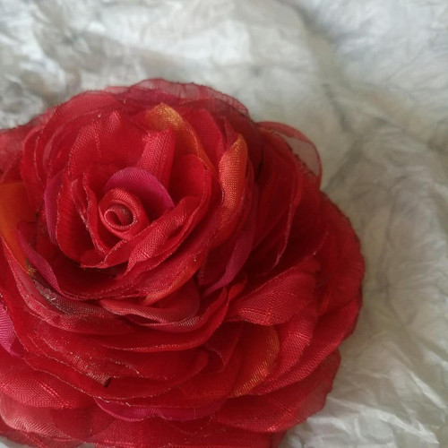 Red — foto 5