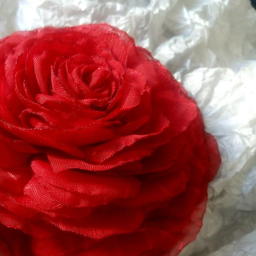 Red — foto 2