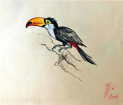 Fauna... — foto 3