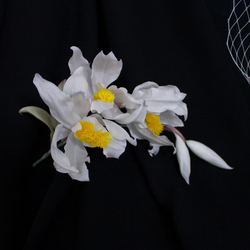 Tropická kráska — foto 2