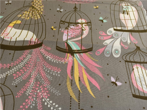 Ptáci v klecích - zbytek — foto 2