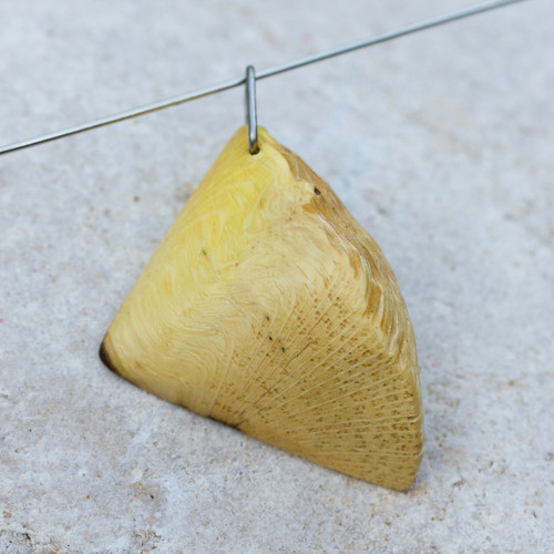 Plaménkovník — foto 3