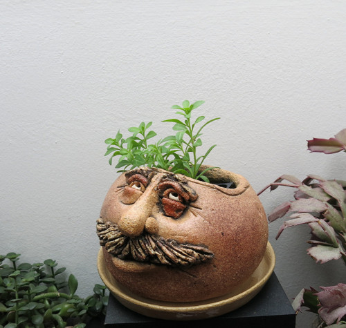 KVĚTNÍK-VALOUN..... — foto 2
