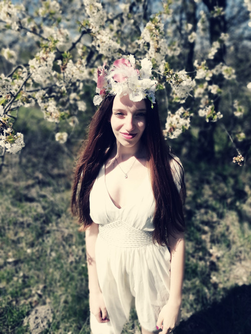 Orchidee — foto 4