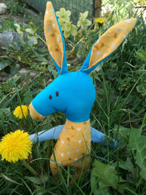 Oslík — foto 2