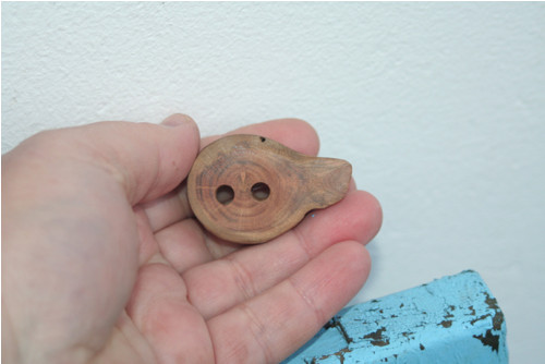 Knoflobrožka:)... — foto 3