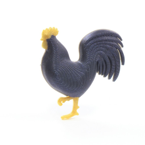 Kohout wodoo/gold — foto 2