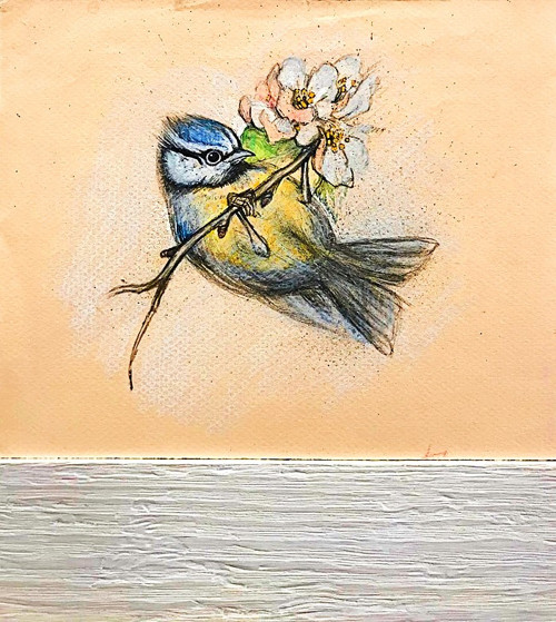 FAUNA — foto 2