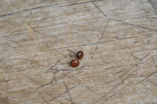 Pecičky merbau — foto 2