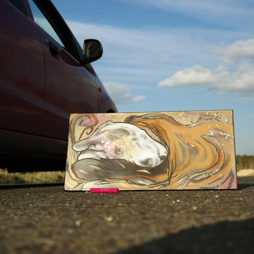 VÝPRODEJ OBRAZŮ .... obraz SLEVA 50% — foto 3