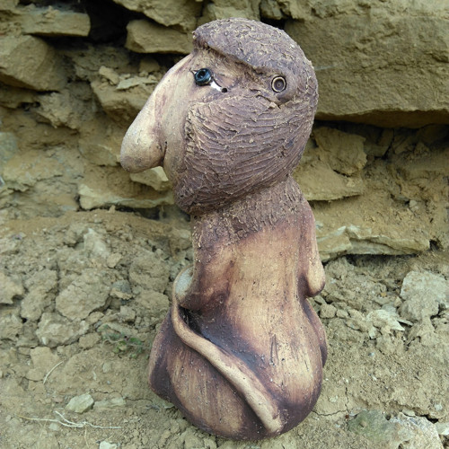 Kahau nosatý — foto 2