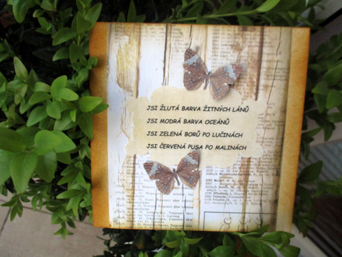 Vyznání na plotě V. — foto 3
