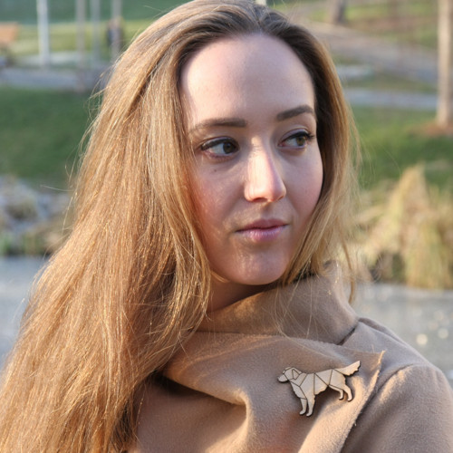 Brož retriever Shadow — foto 2