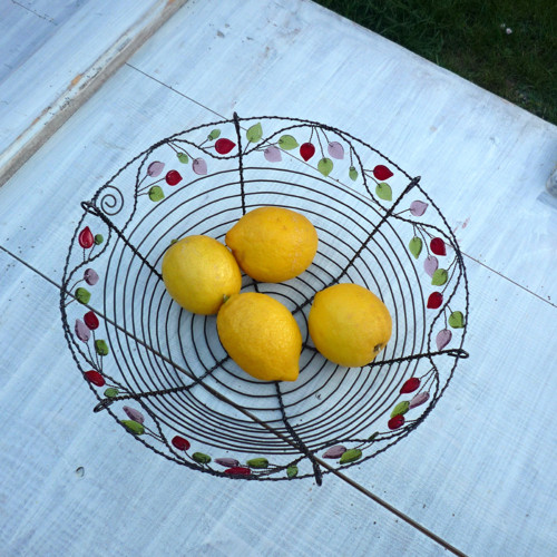 Miska jablůňková — foto 4