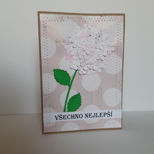Hortenzie - retro přání — foto 3