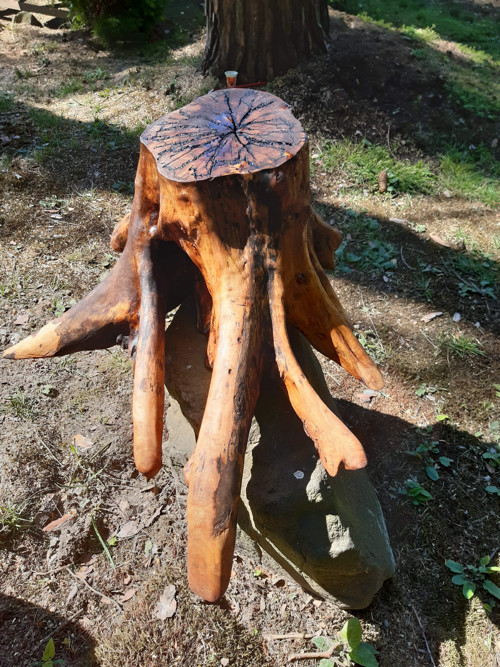 V objetí březové chobotnice — foto 6