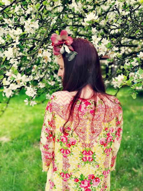 Orchidee — foto 6