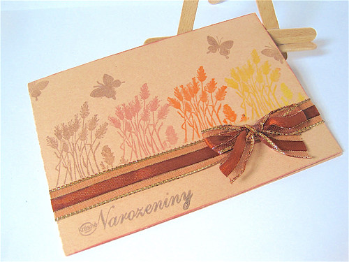 Krásné narozeniny 15 — foto 2