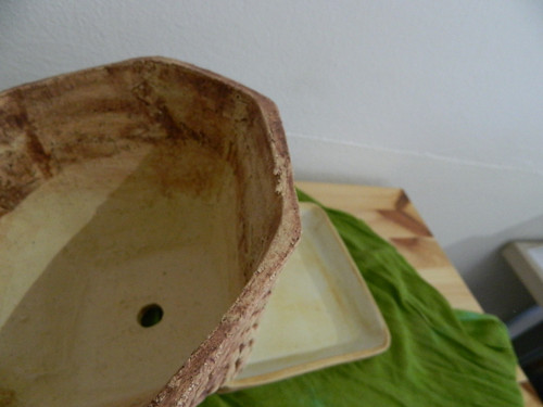 Na Kapradí — foto 3