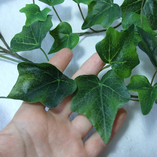 Dlouhý výhon břečťanu, 180 cm — foto 2